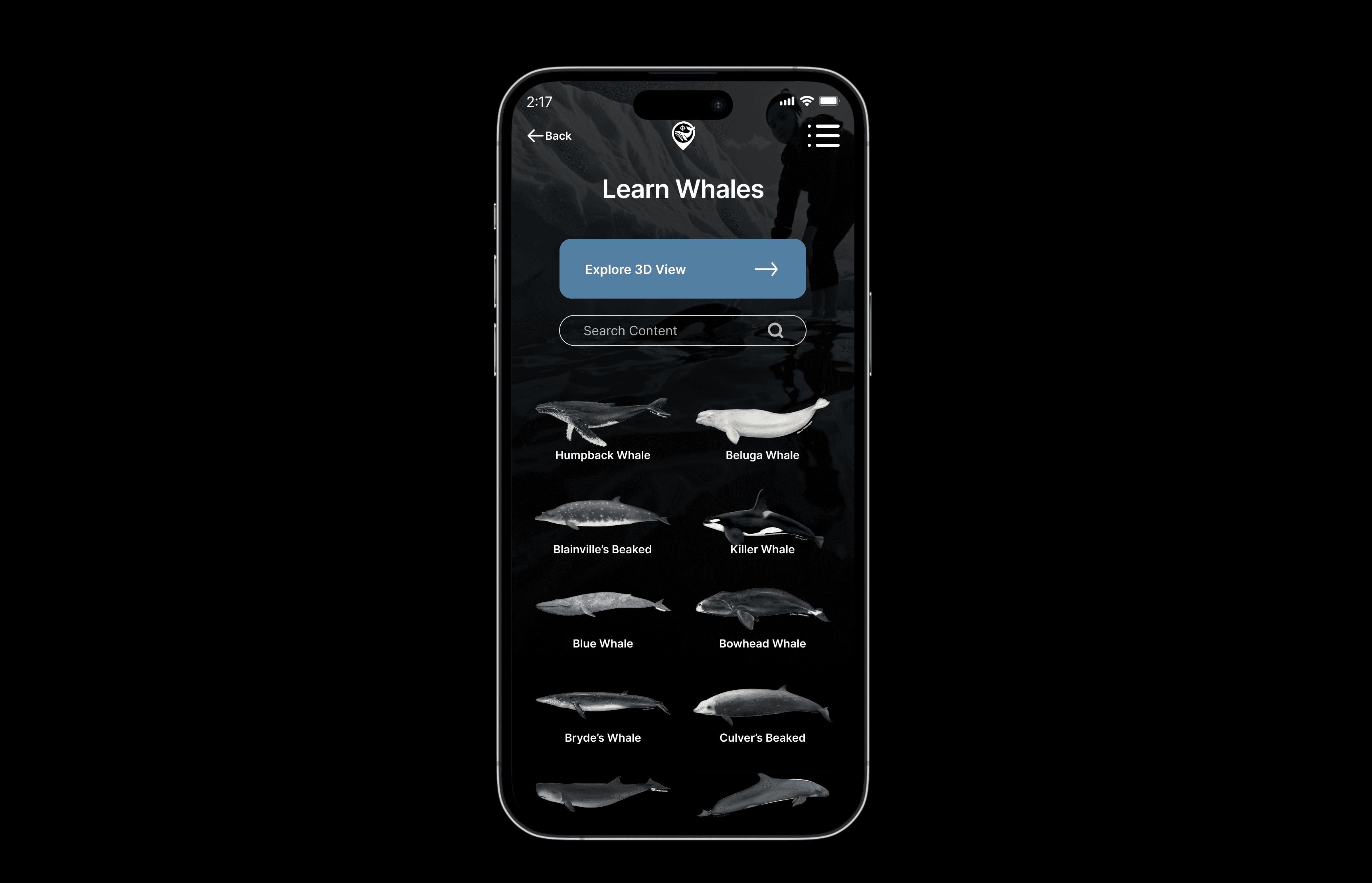 learnpage