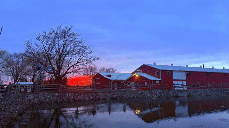 Dynamic picture of a cyclist riding downhill