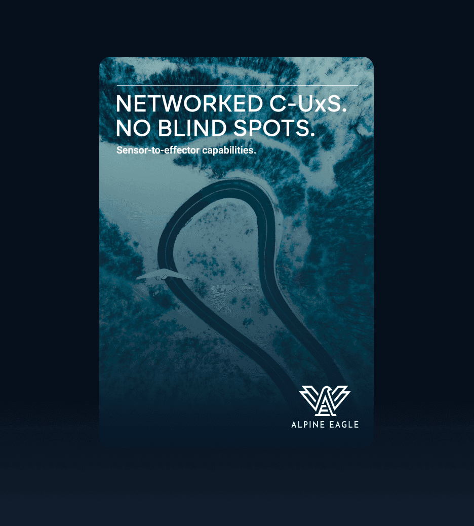 alpine eagle layout für flyer bild perspektive von oben mit sentinel drohn logo rechte seite unten