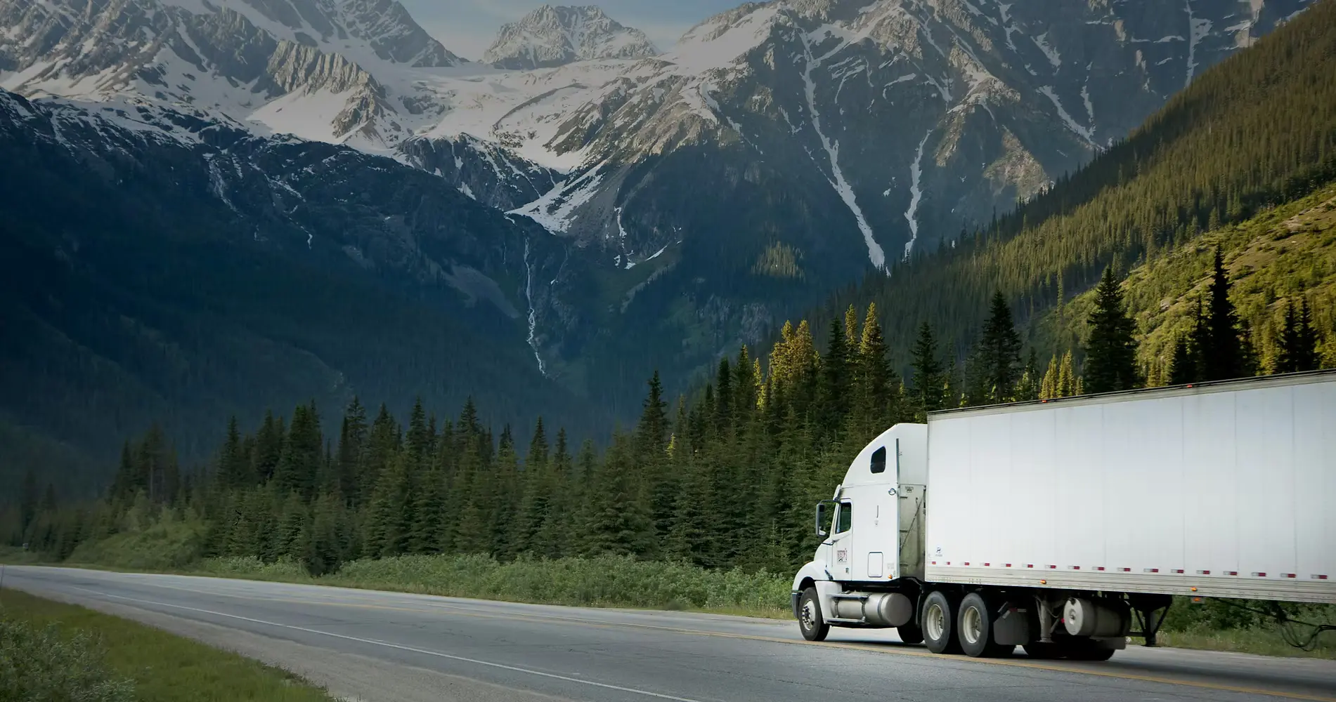 Furniture Delivery vs. Furniture Assembly