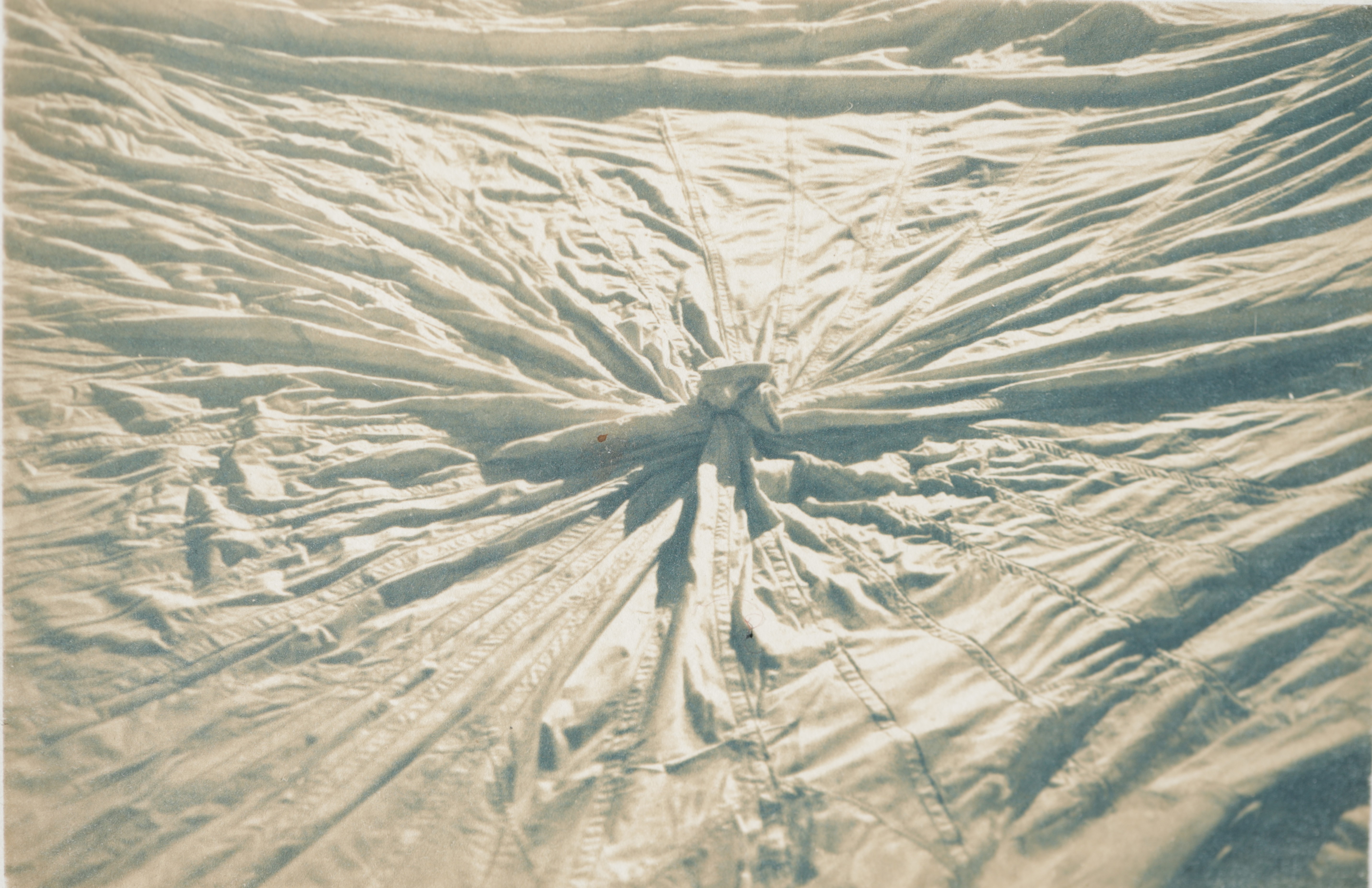 herd of sheep on road painting