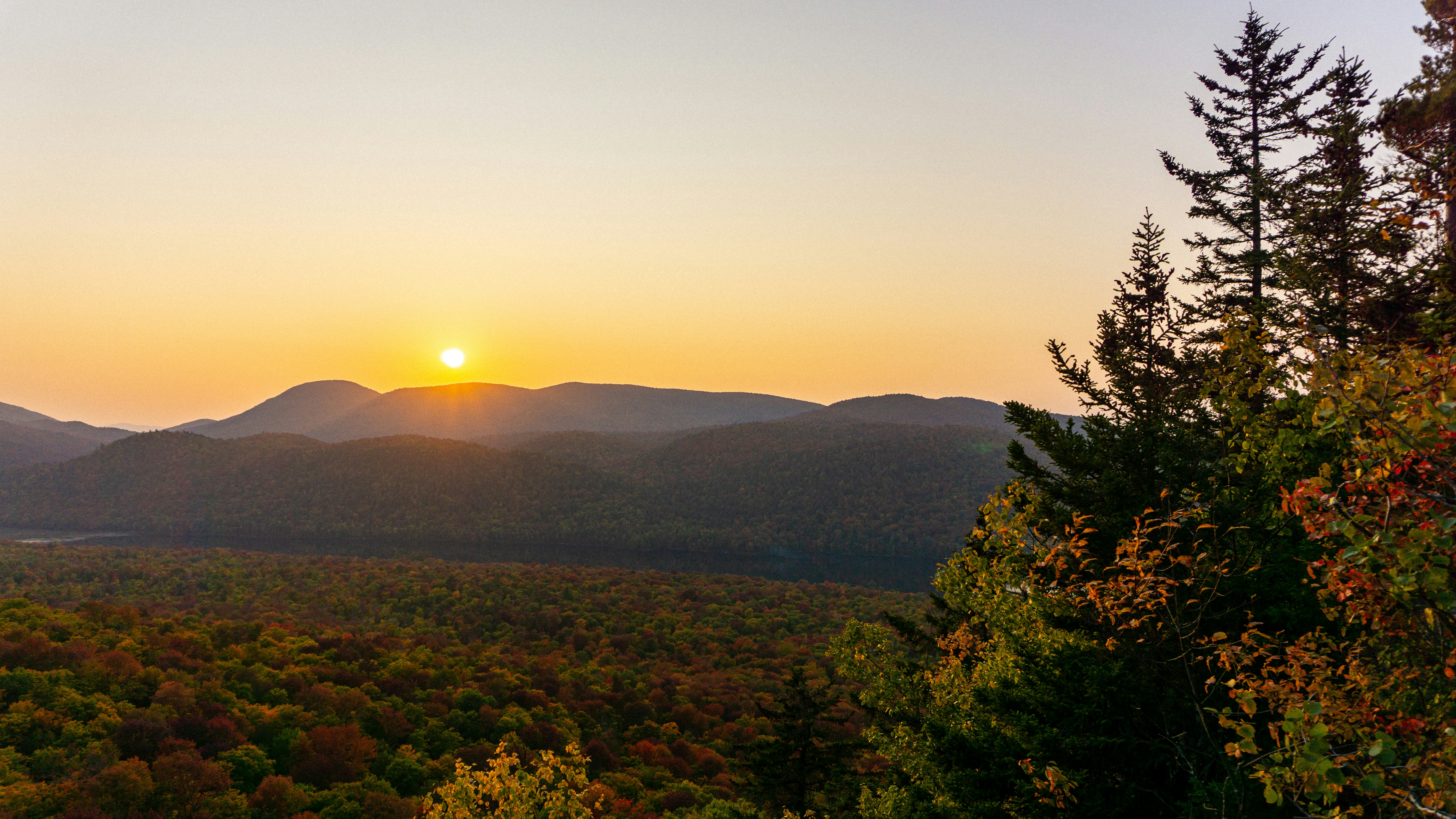 green trees on mountain during sunset