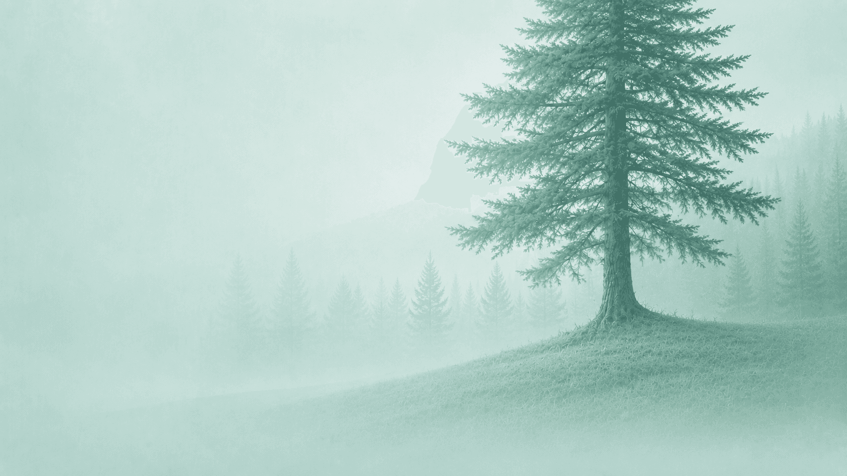Footer Image