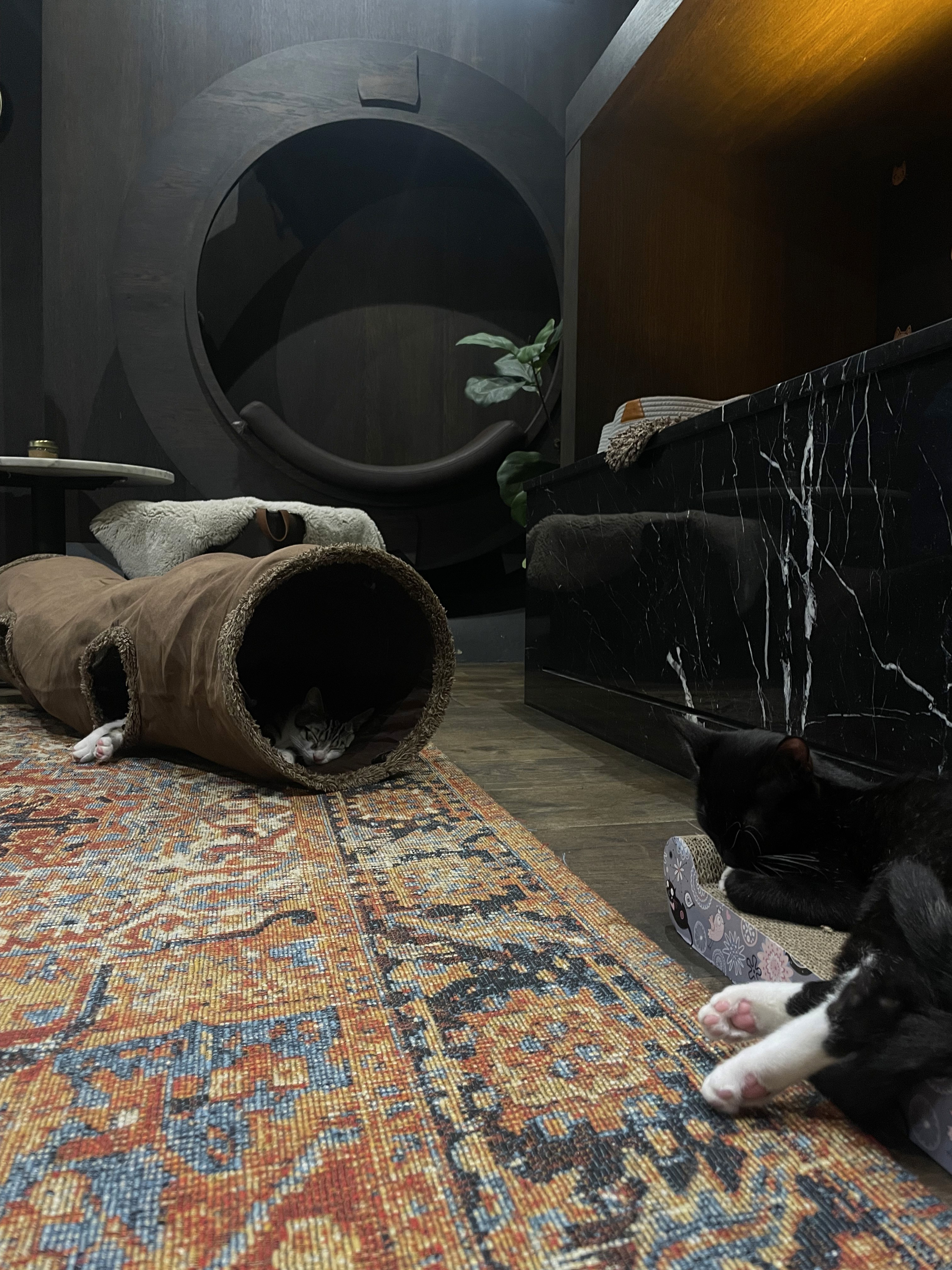 A young person with curly hair smiles at the camera while sitting in front of a laptop against a dark background.