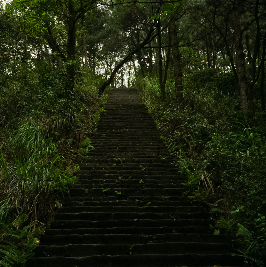 Kami Agence - Nguyễn Việt Hoàng