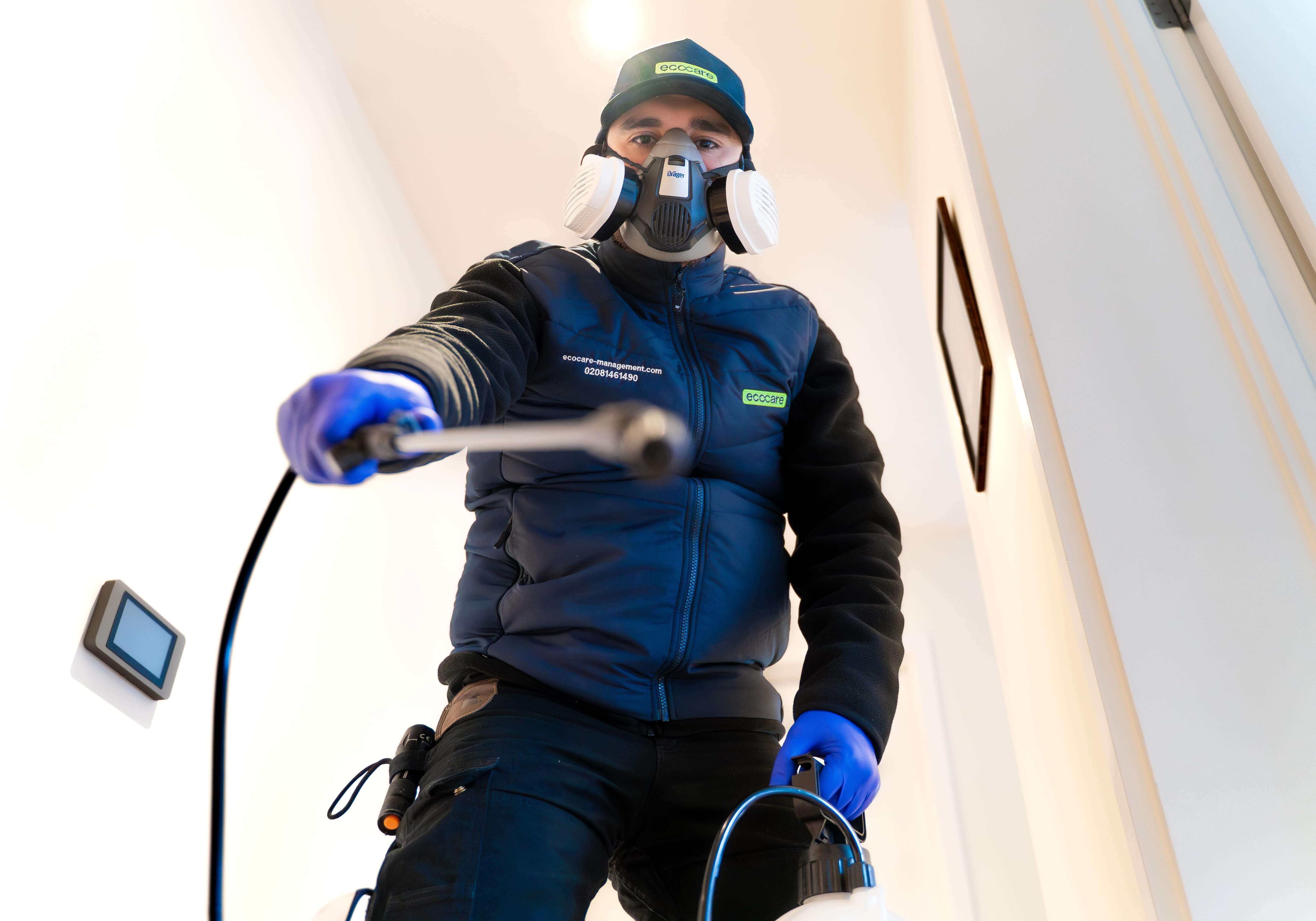Pest control technician in protective gear spraying - Professional cockroach extermination for commercial properties