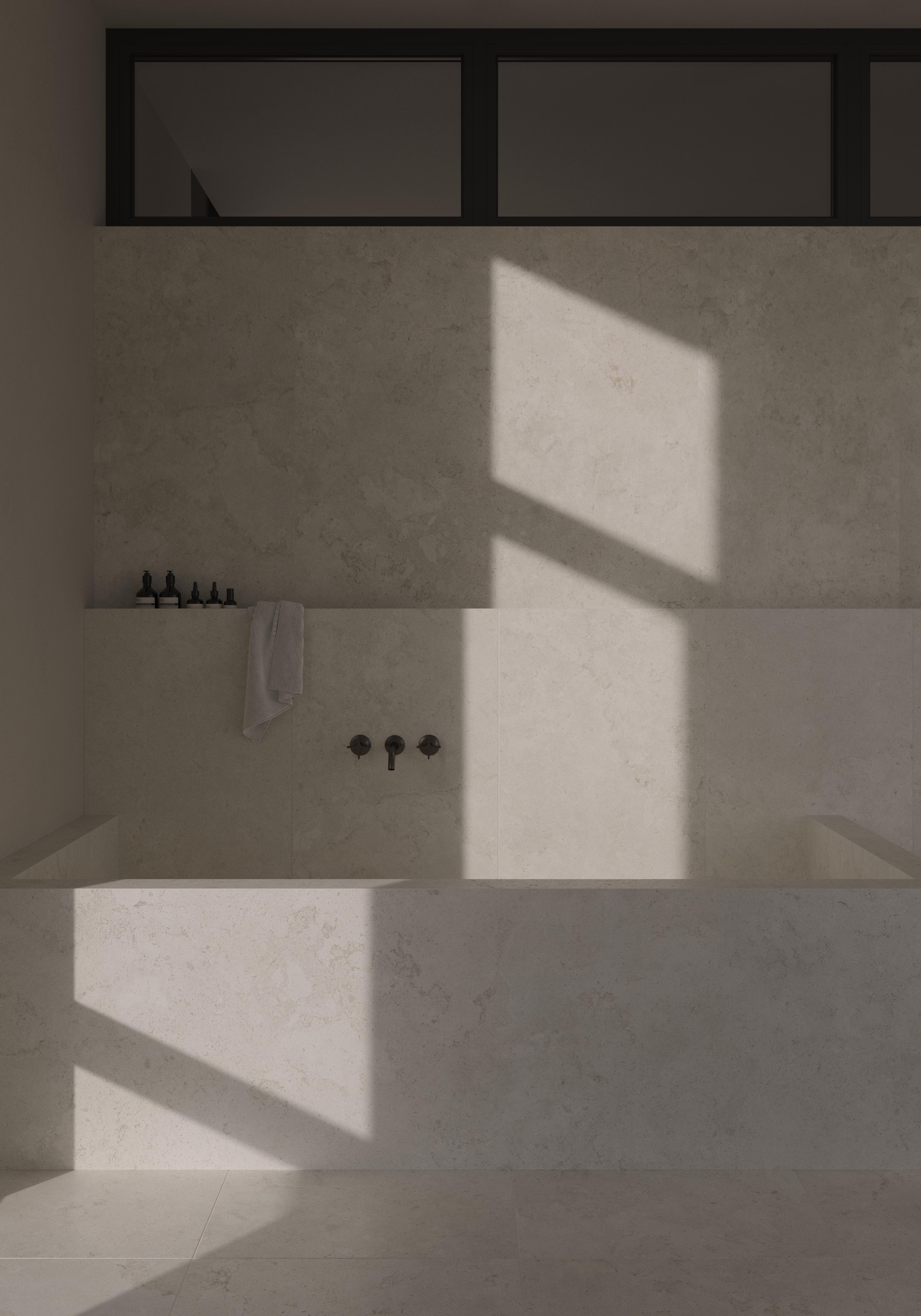 planters with plant near area rug inside room