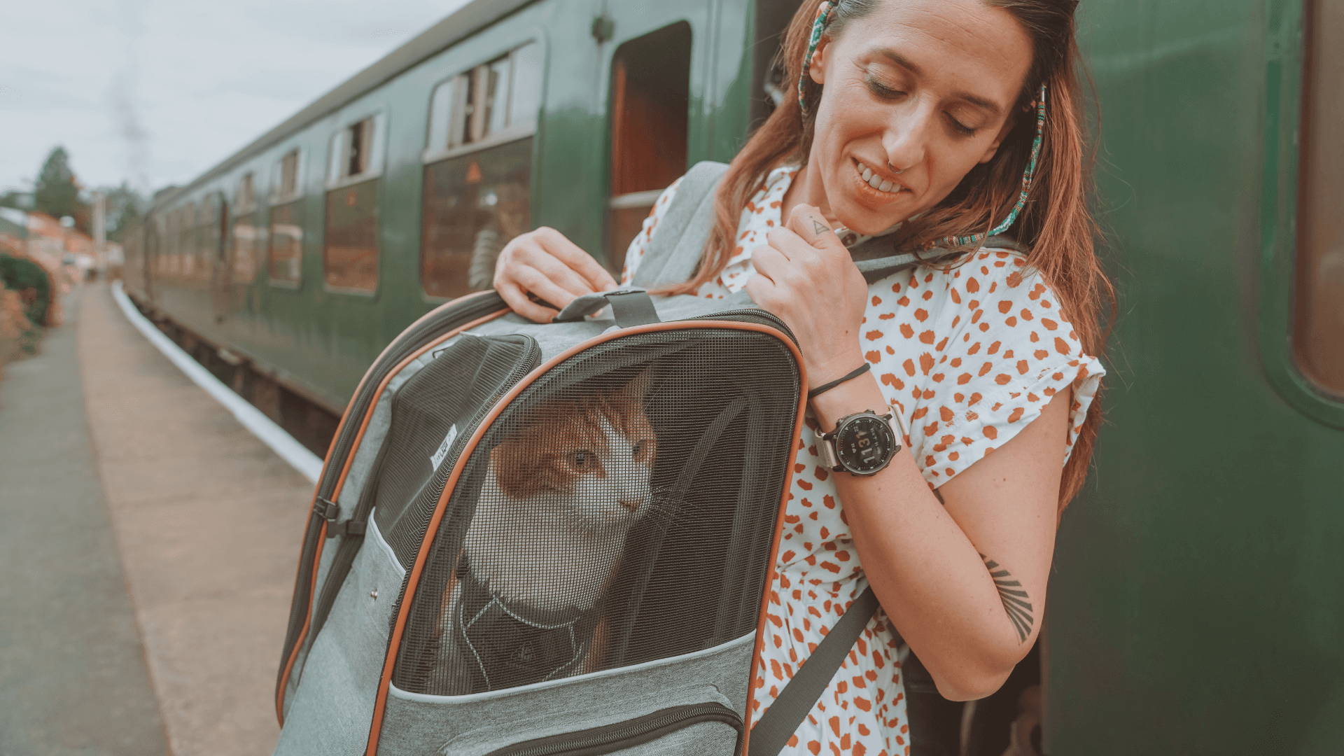 Cat inside carrier ready to travel by train