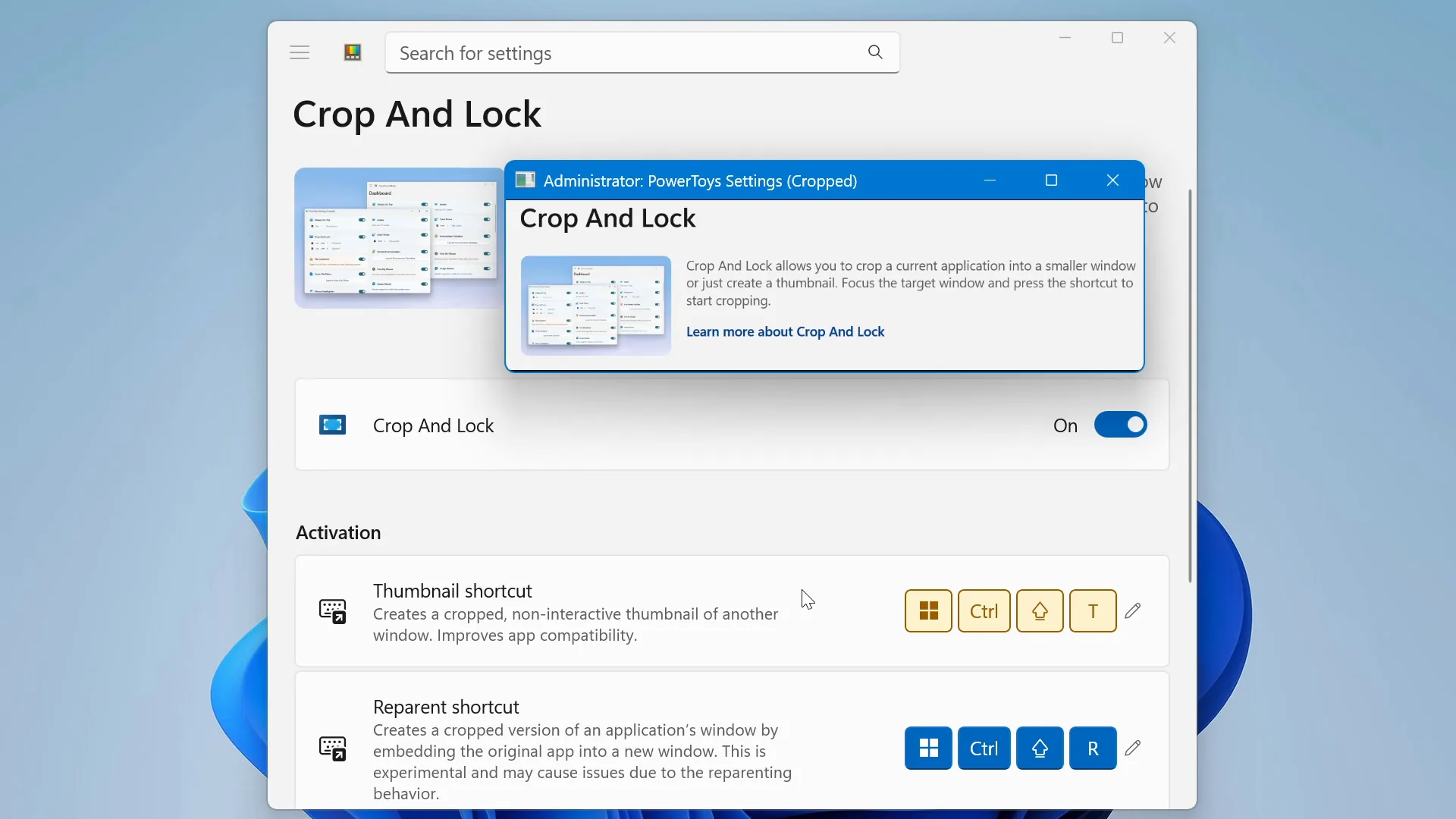 Crop And Lock making a cropped, always-on-top thumbnail of a window