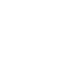 Lightweight icon