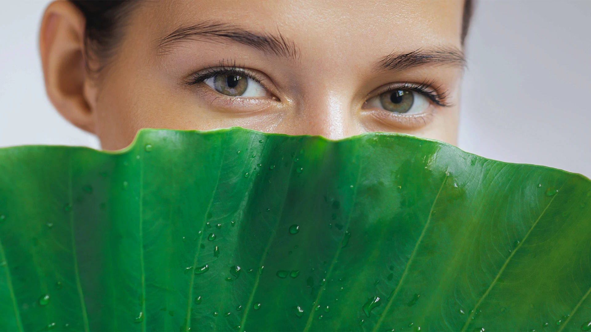 Bella Eyes - Cat Eyes