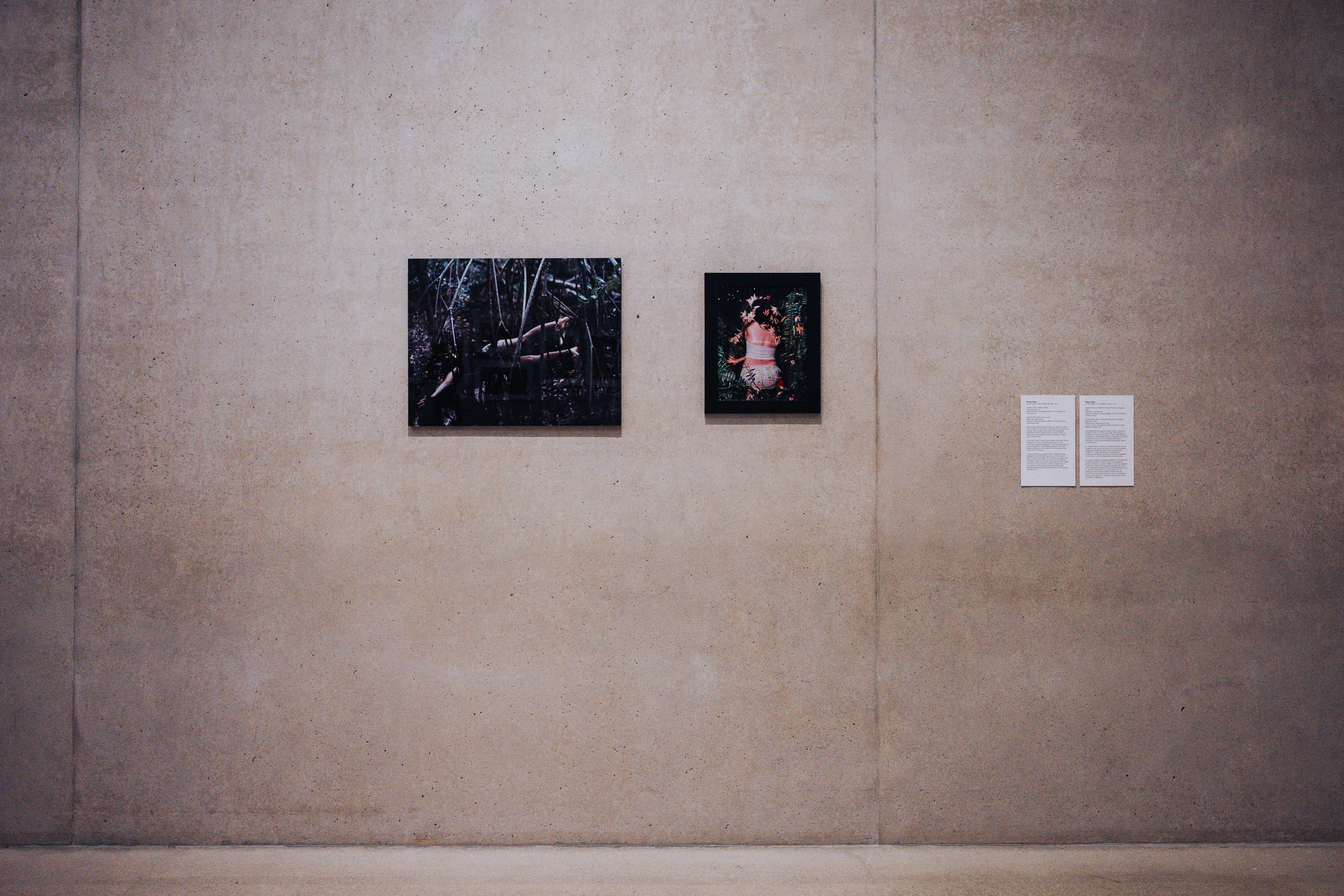 PAMM — photograph 12