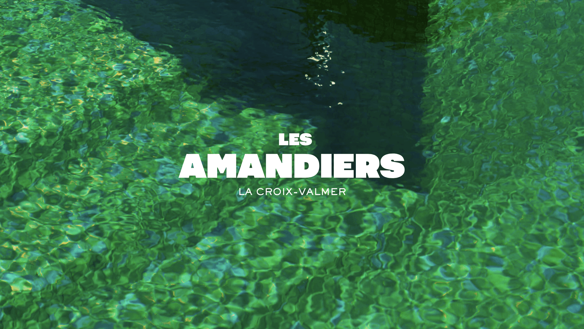 Les Amandiers, Golf de St Tropez, identité, branding