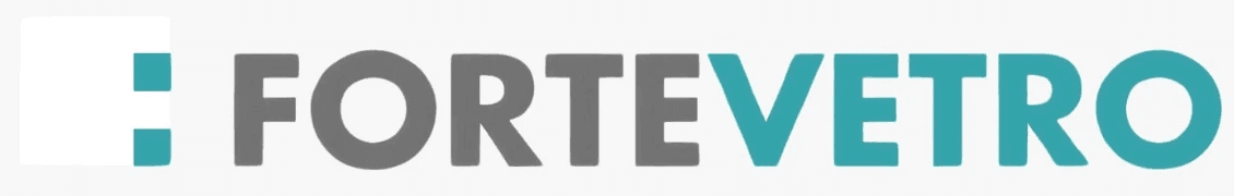 Logo di Forte Vetro