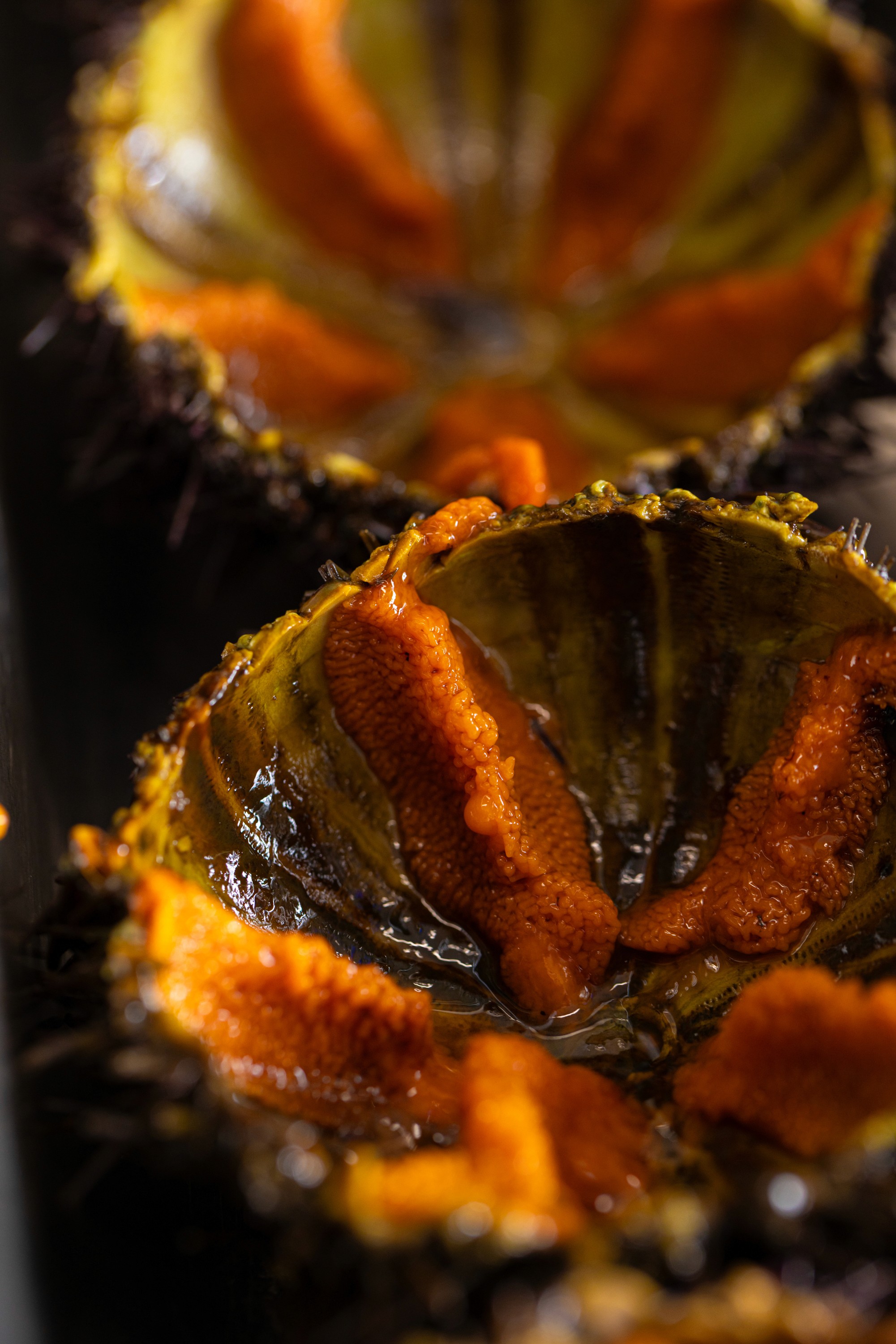 Man wearing VR glasses