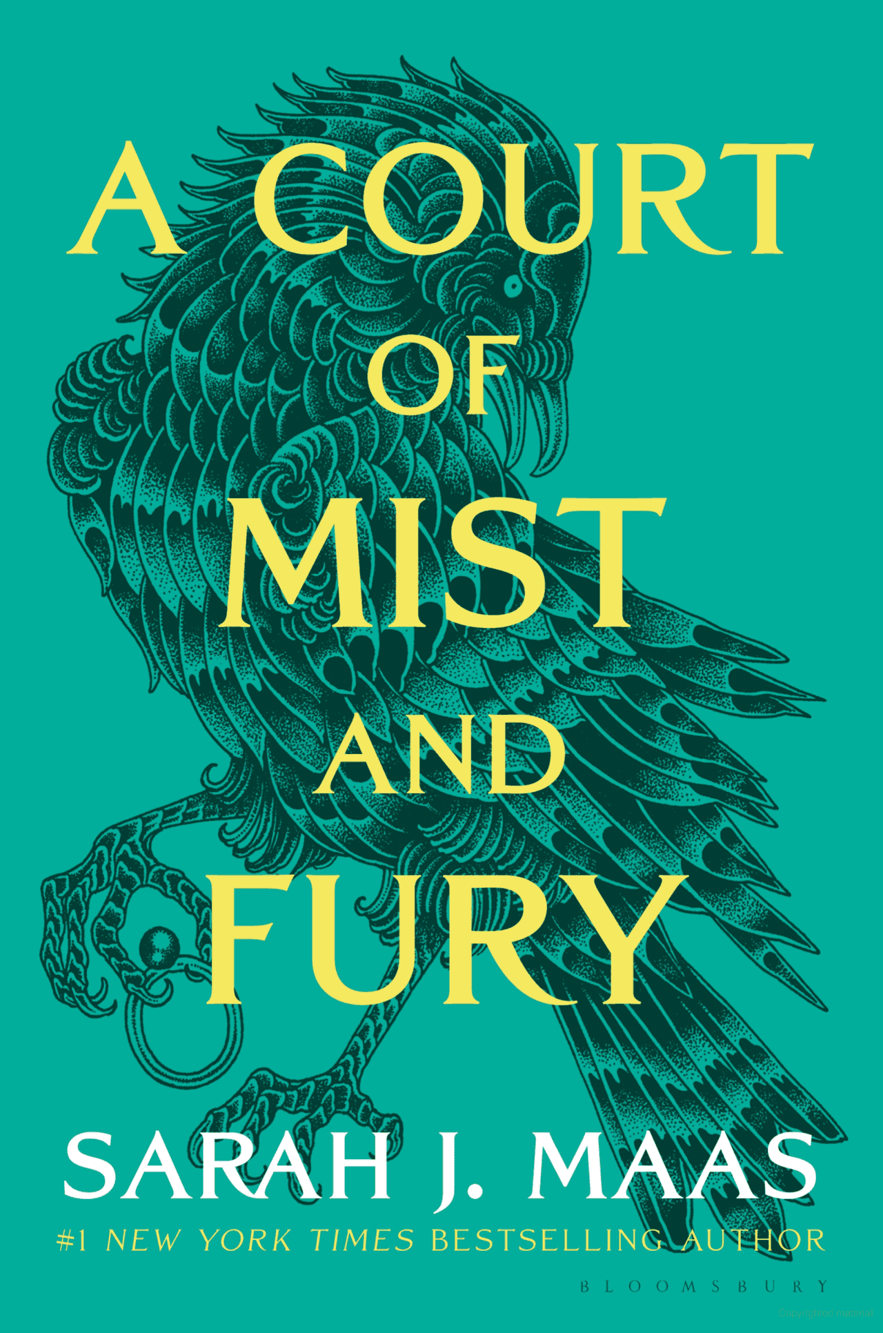 A Court of Mist and Fury Book