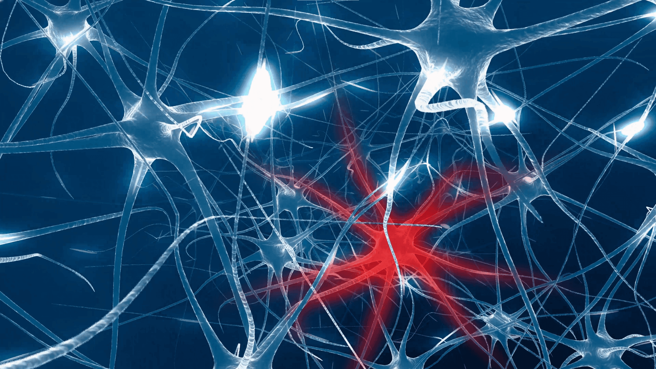 Image of cells/synapses