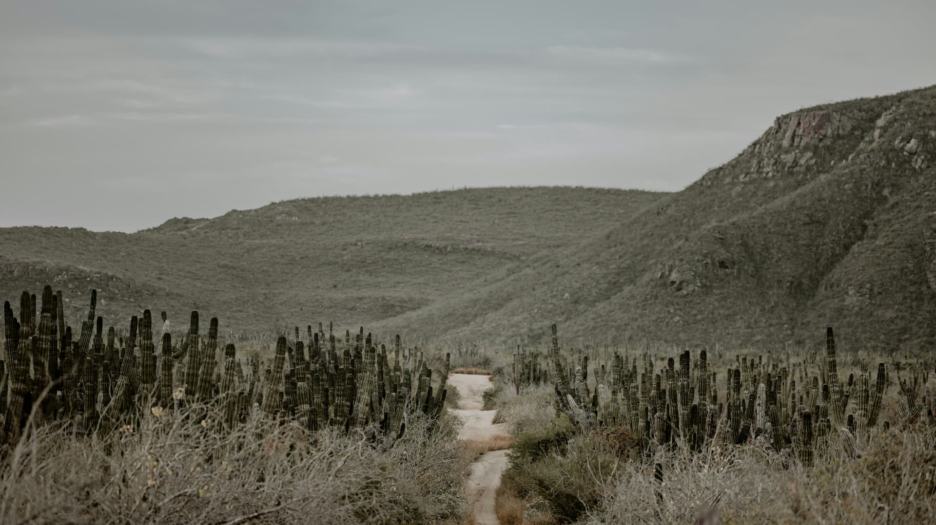 Destination: Todos Santos