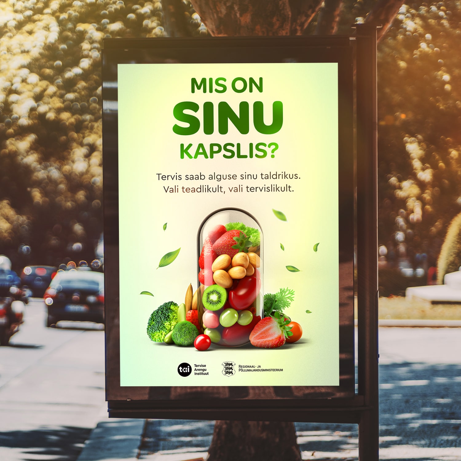 Mis on Sinu kapslis?