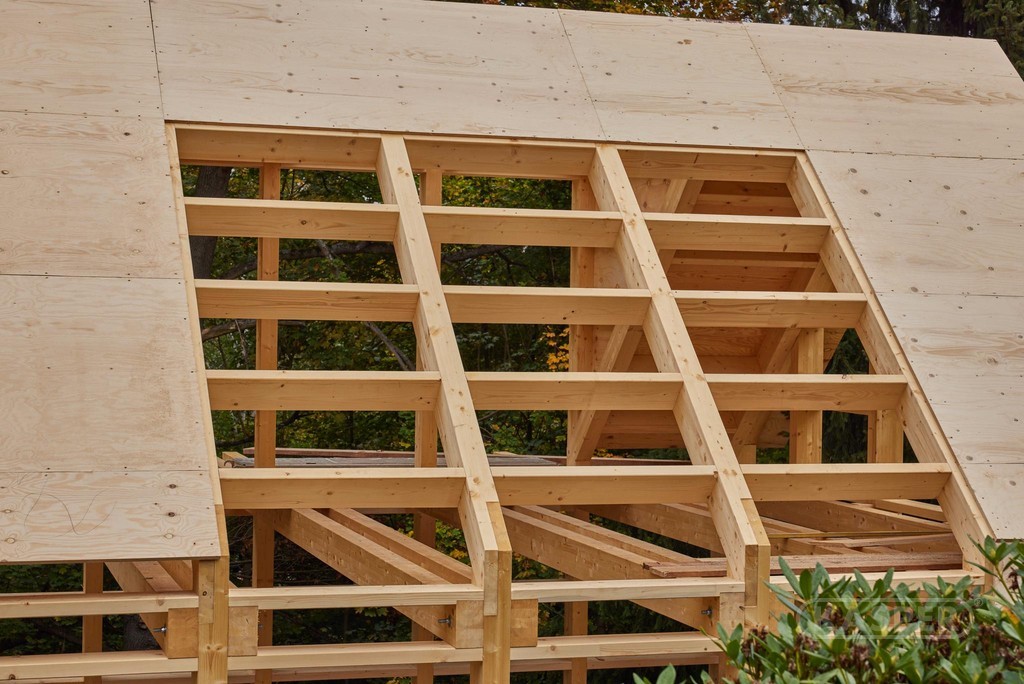 a tree with many leaves