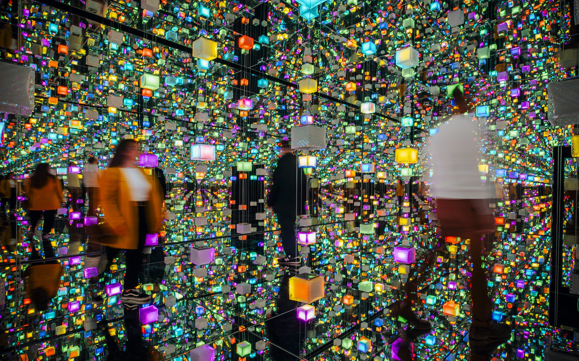 賓客喺 Signal Space 數碼藝術畫廊探索色彩繽紛嘅數碼展品。