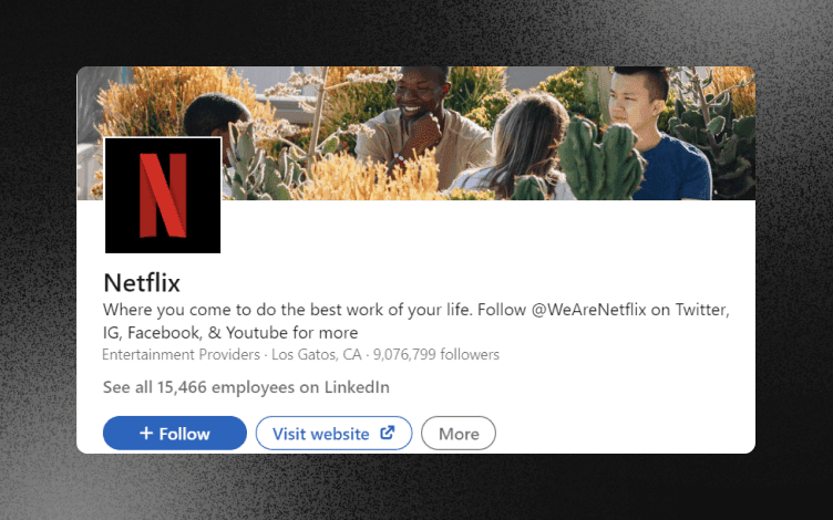 Netflix LinkedIn Banner