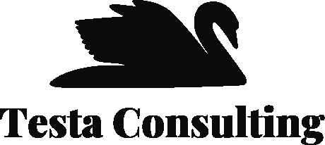 Testa Consulting Partner Logo