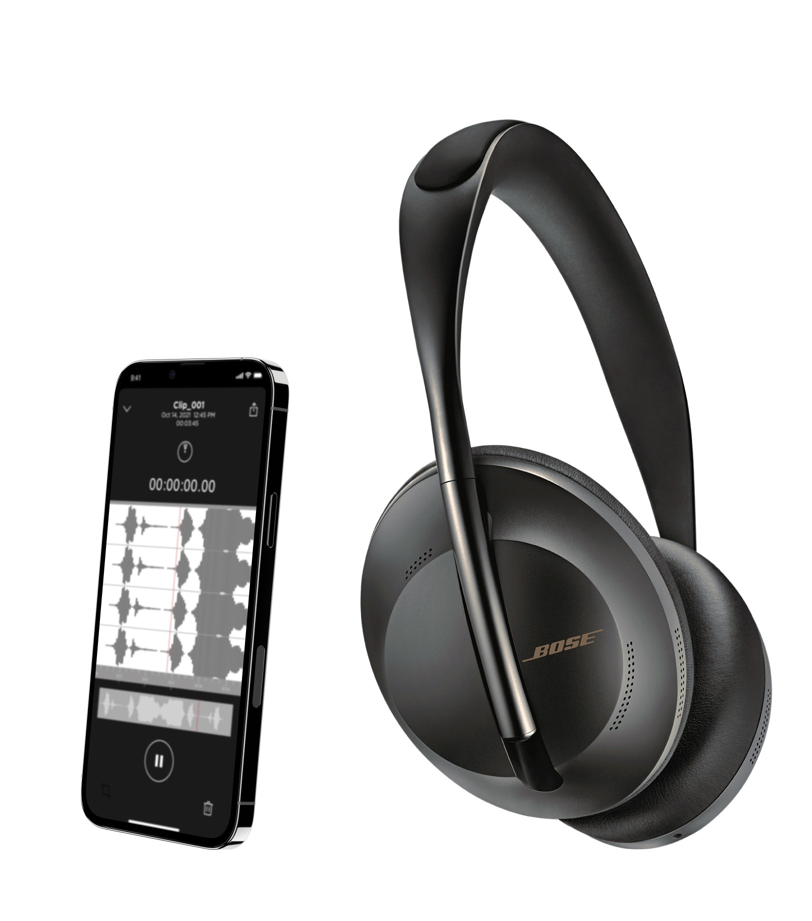 Large Project Gallery Image #1