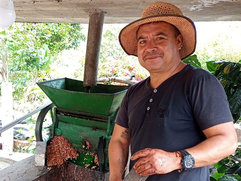 Los Pirineos Farm: Orange Pacamara Natural