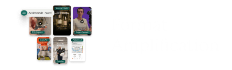 Format Amplification met voorbeeldafbeeldingen van sociale media content