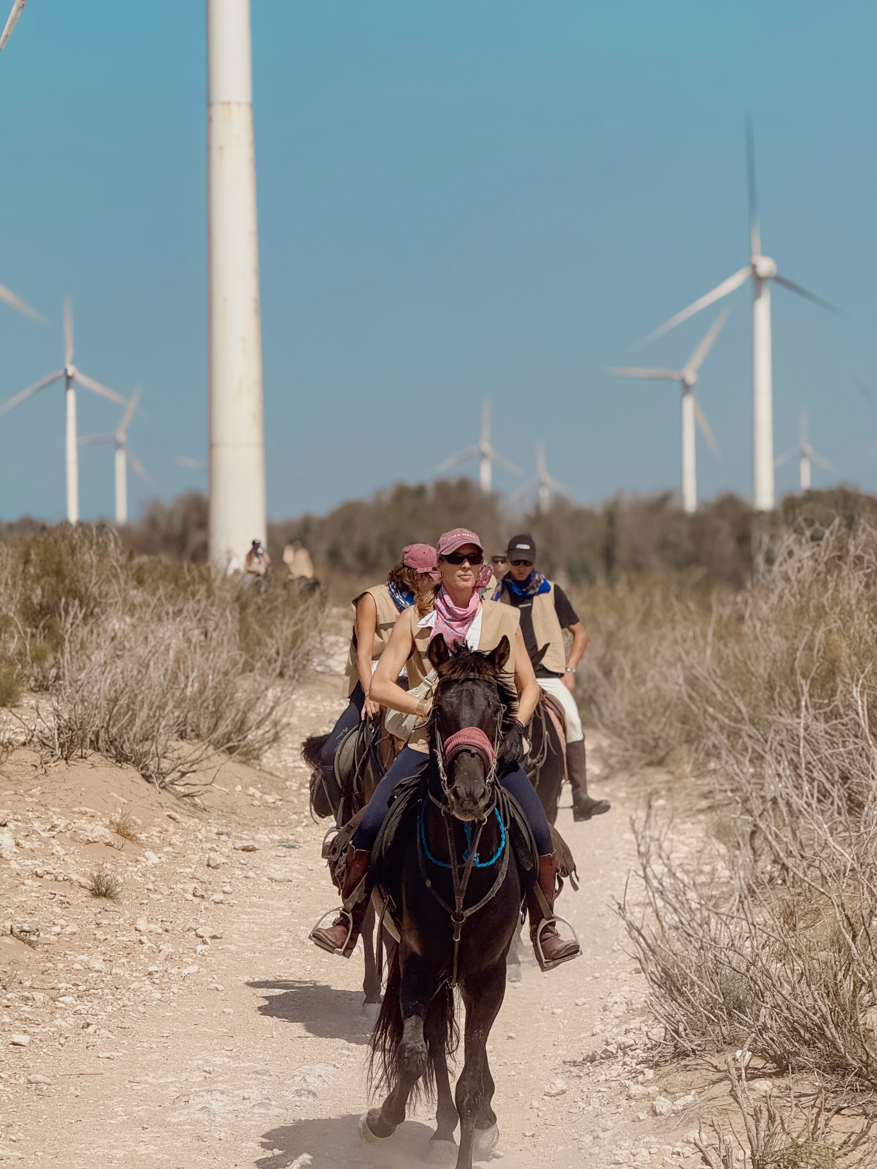 Horse trek