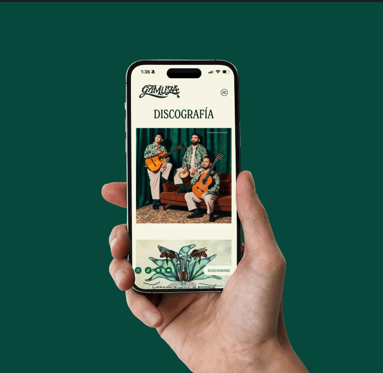 Project Gallery Image for 50% width of the screen #1
