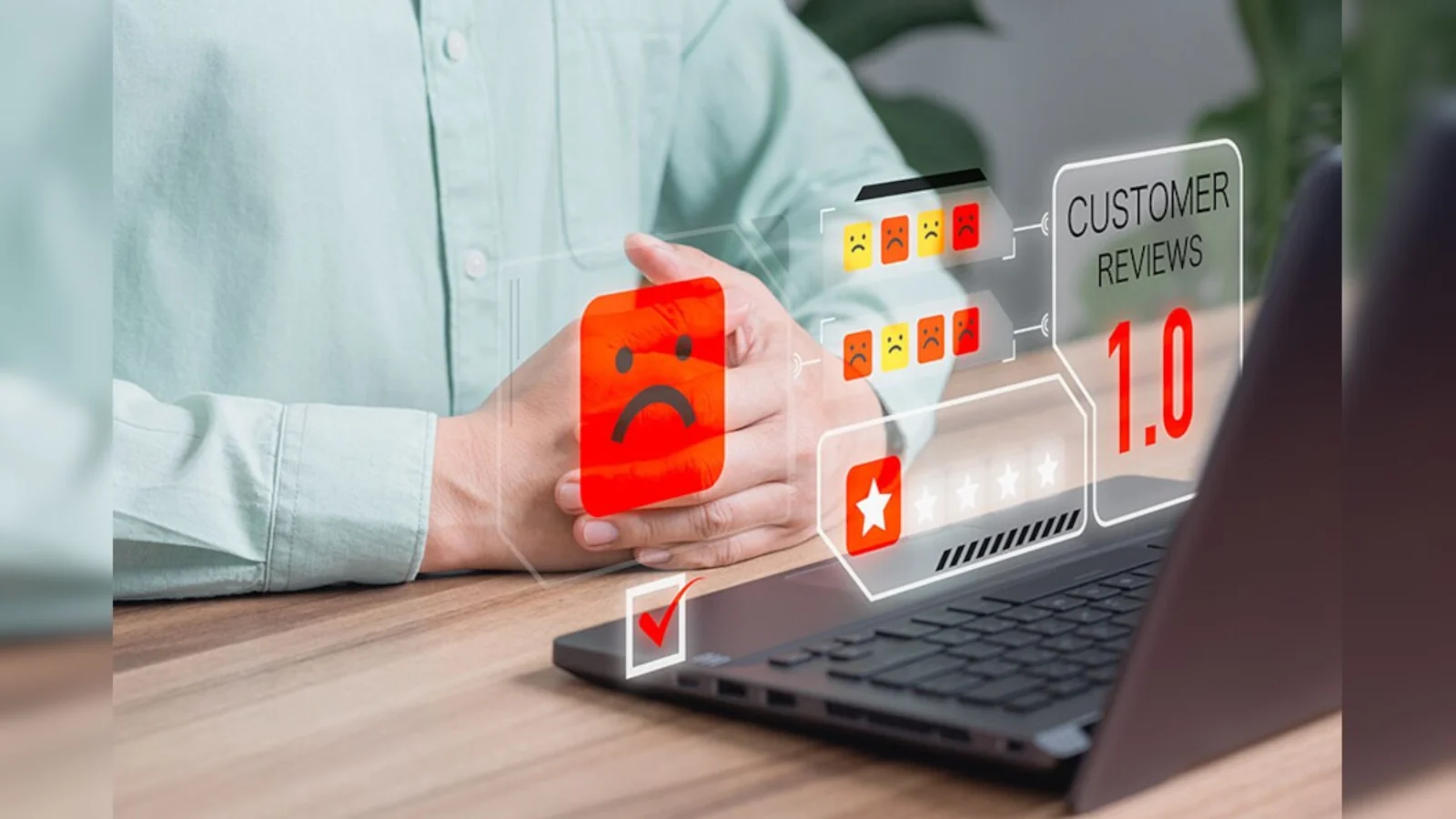 online customer reviews