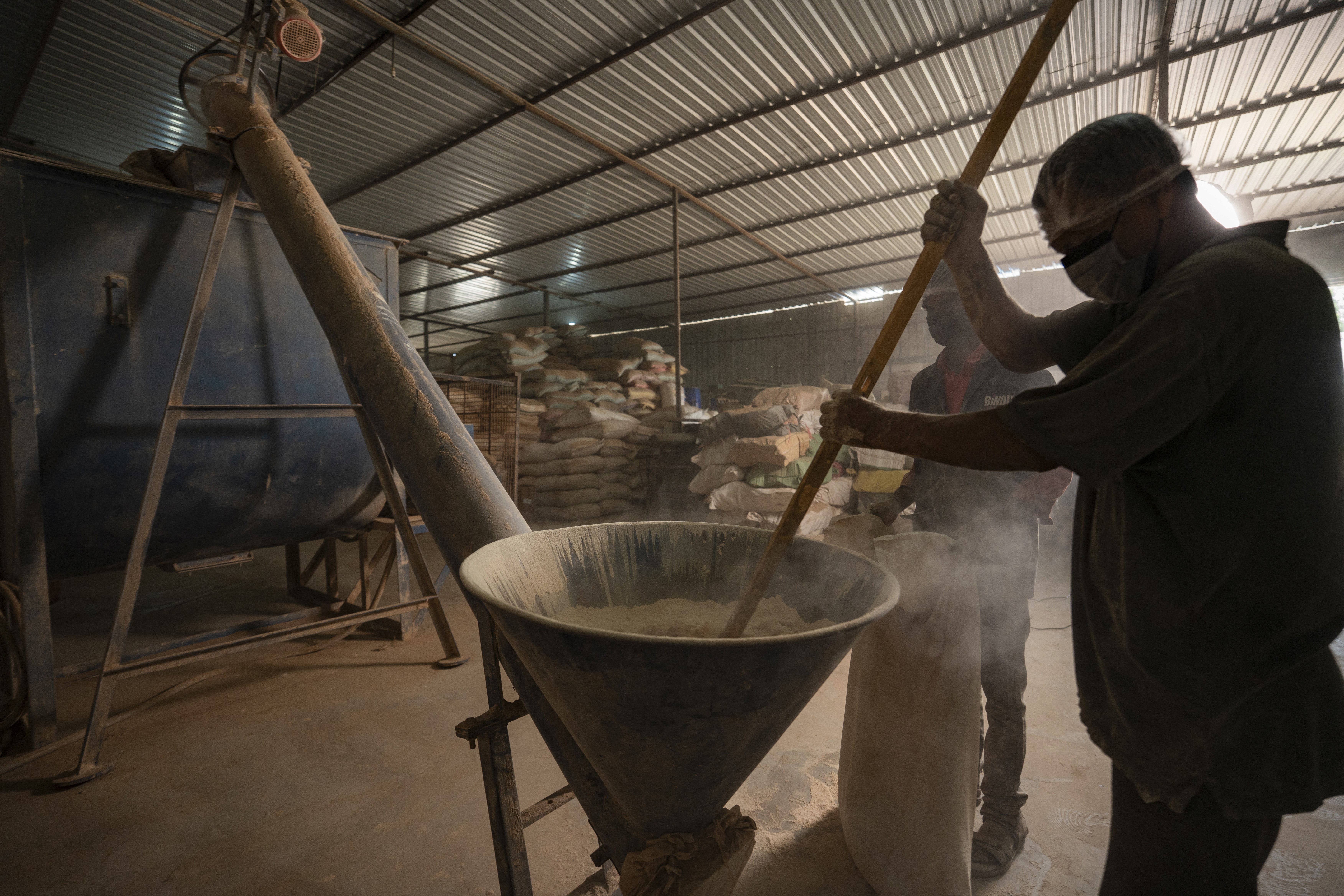 a plant in a glass vase with water