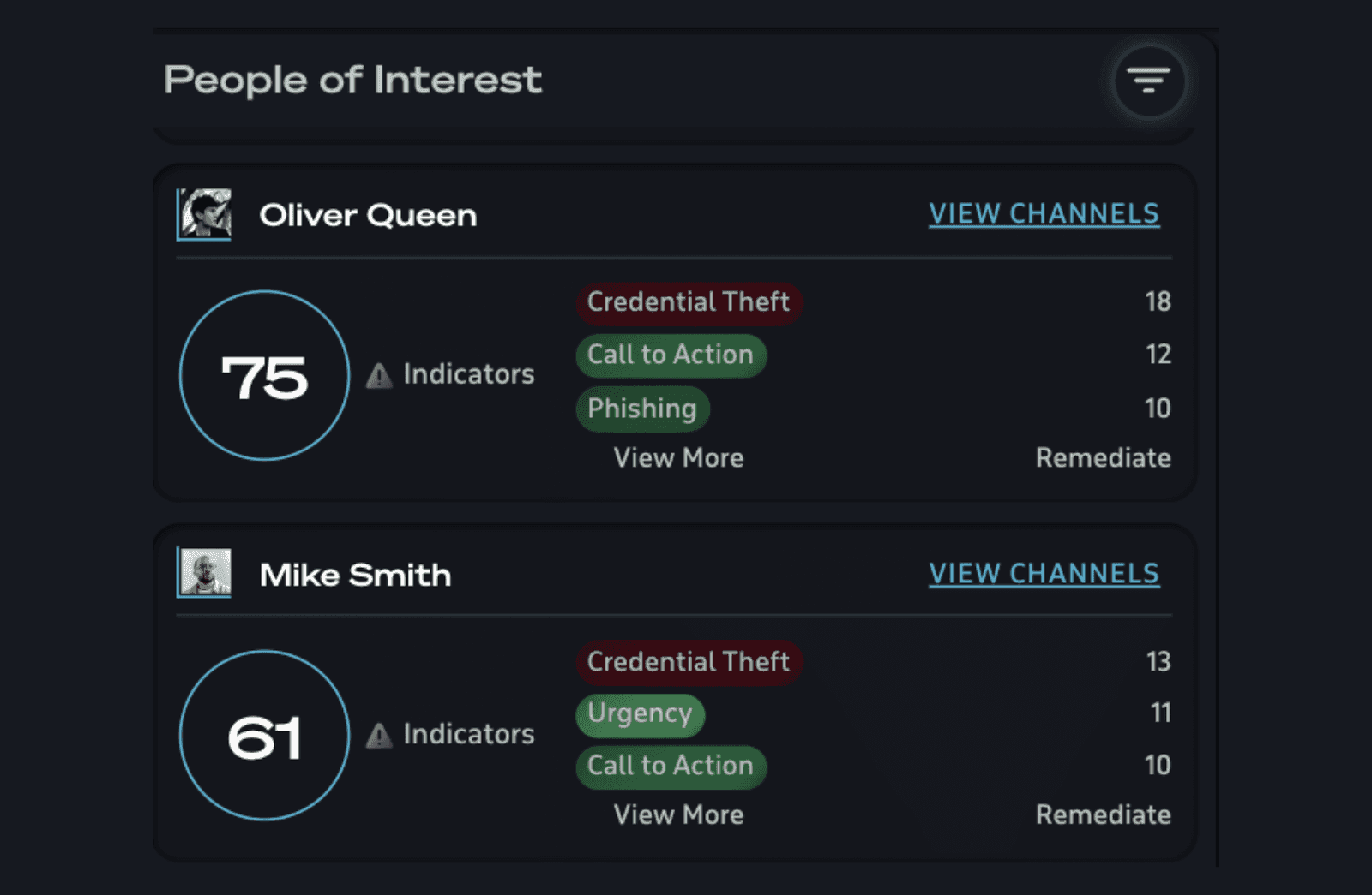 Interface of Safeguard Cyber