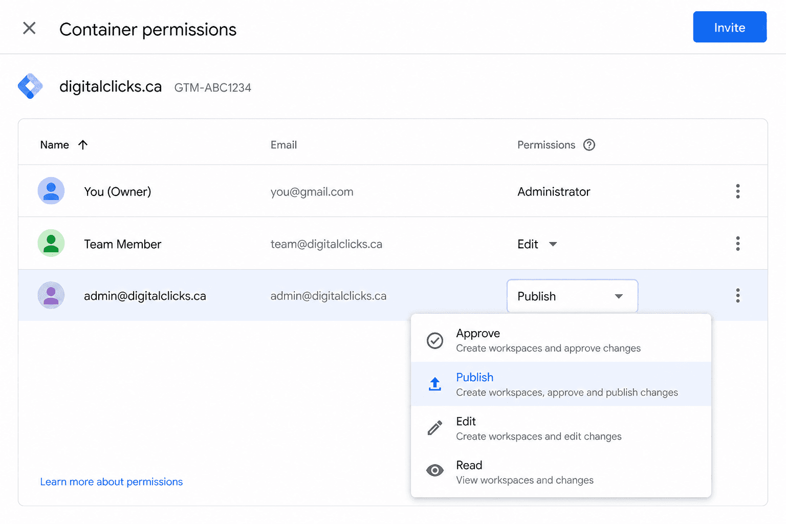 Google Tag Manager container permissions screen showing the Publish permission option.