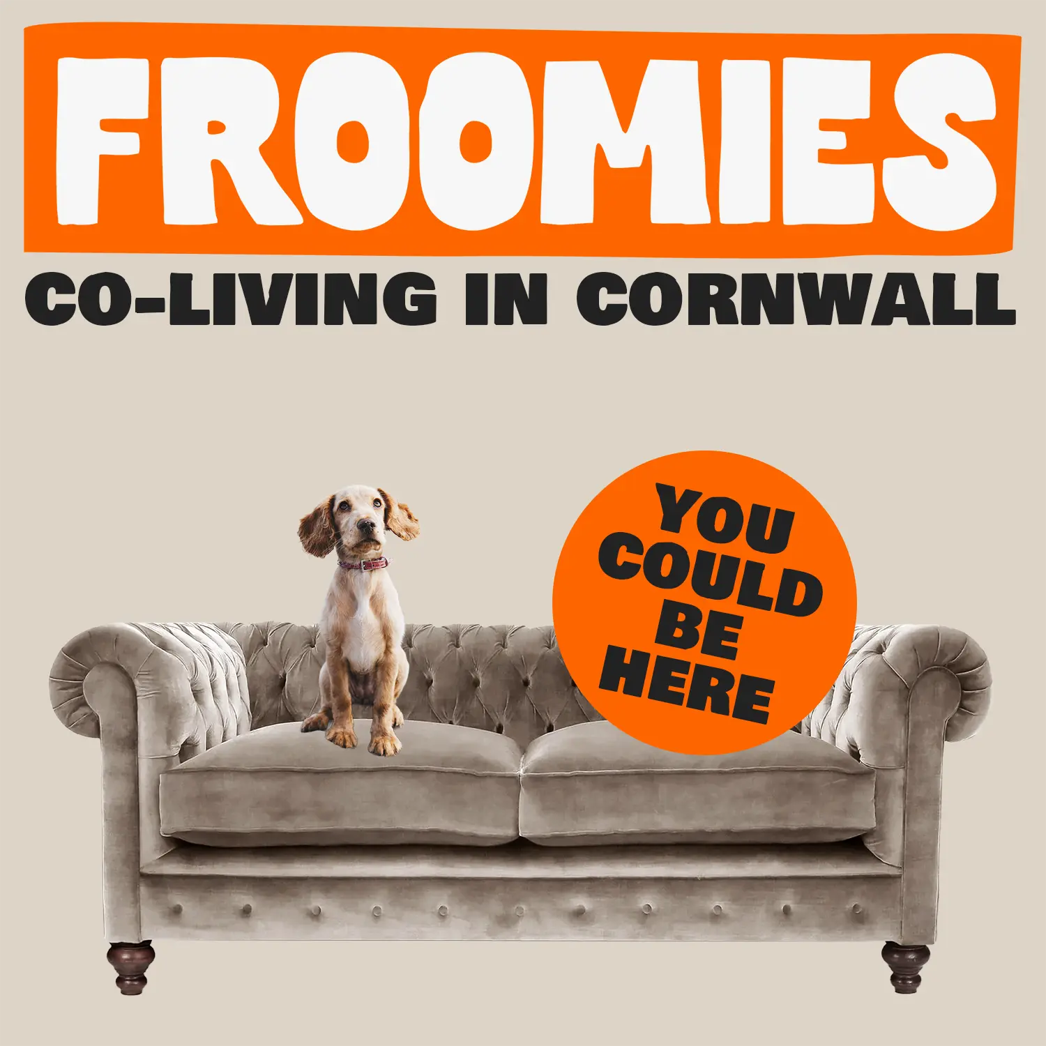 Froomies