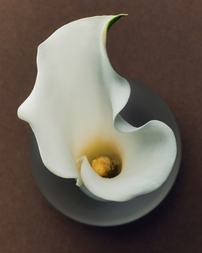 Product photography and ugc content for a bar