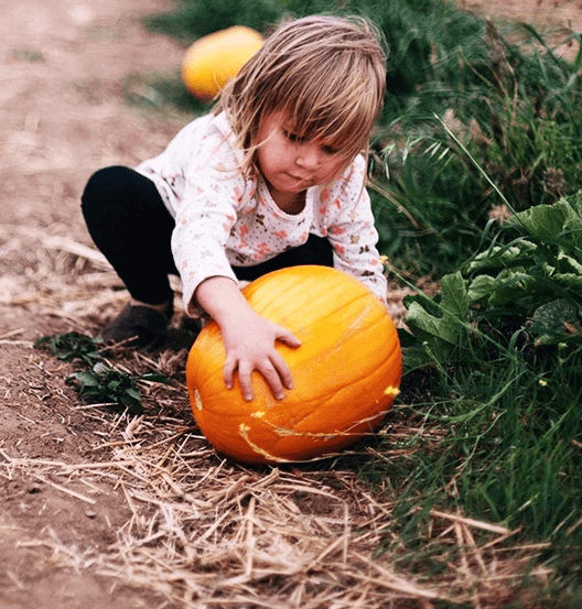 Halloween Tips