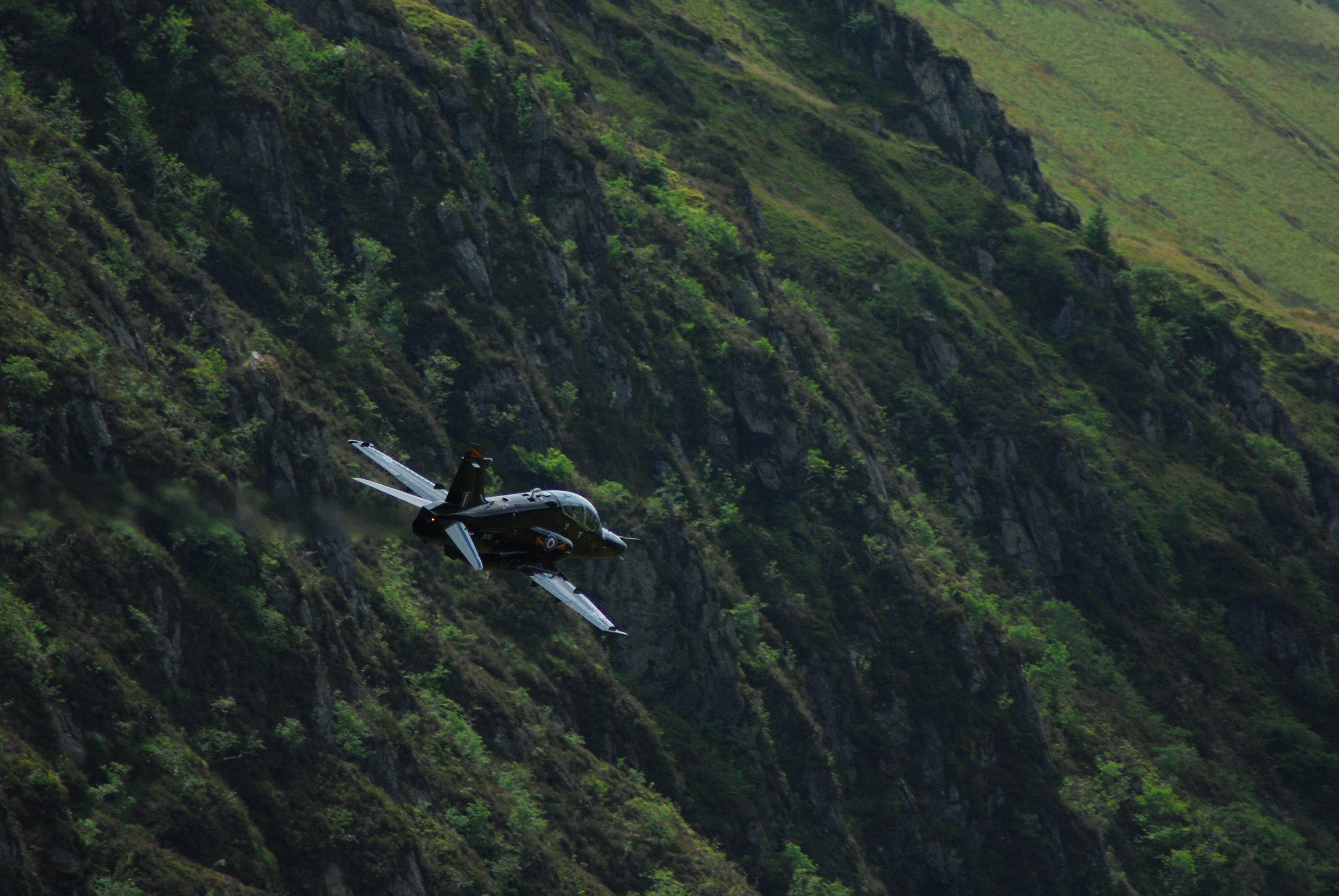 a dronelike plane flying over forrest landscape