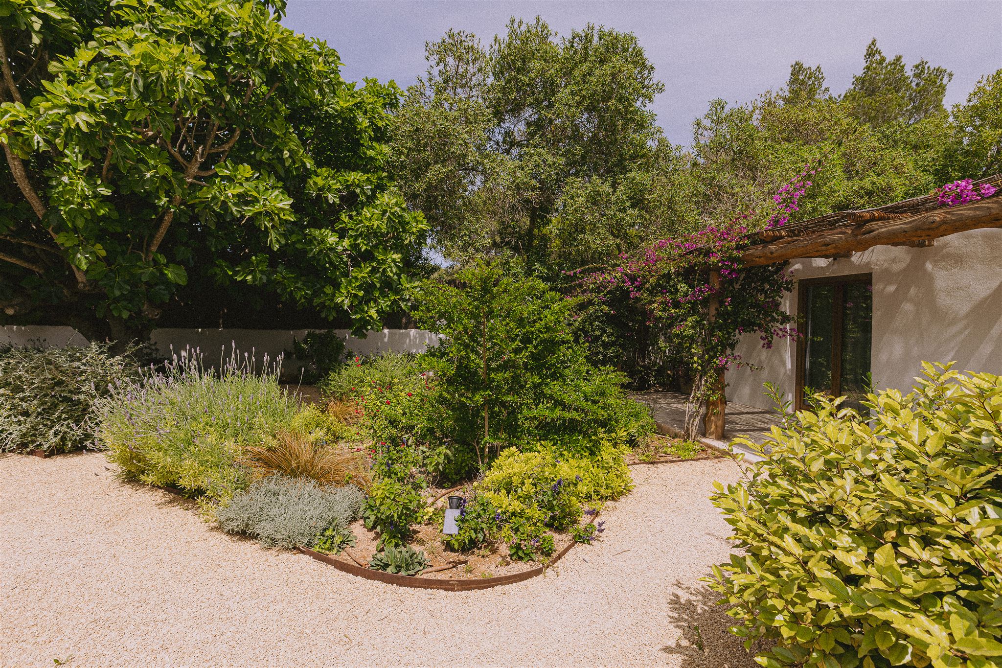 Eiviss Garden  