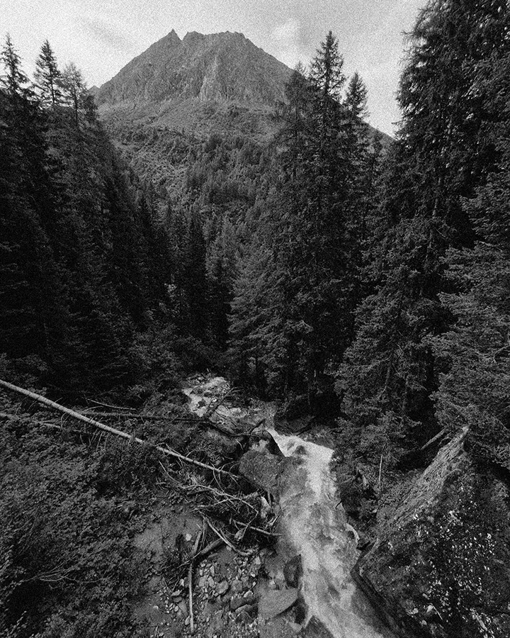 Erdős vidék és hegycsúcs a távolban