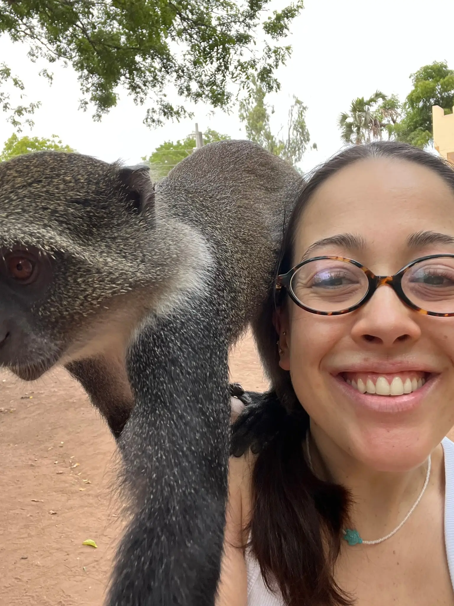 Usahili Tour in Kenya