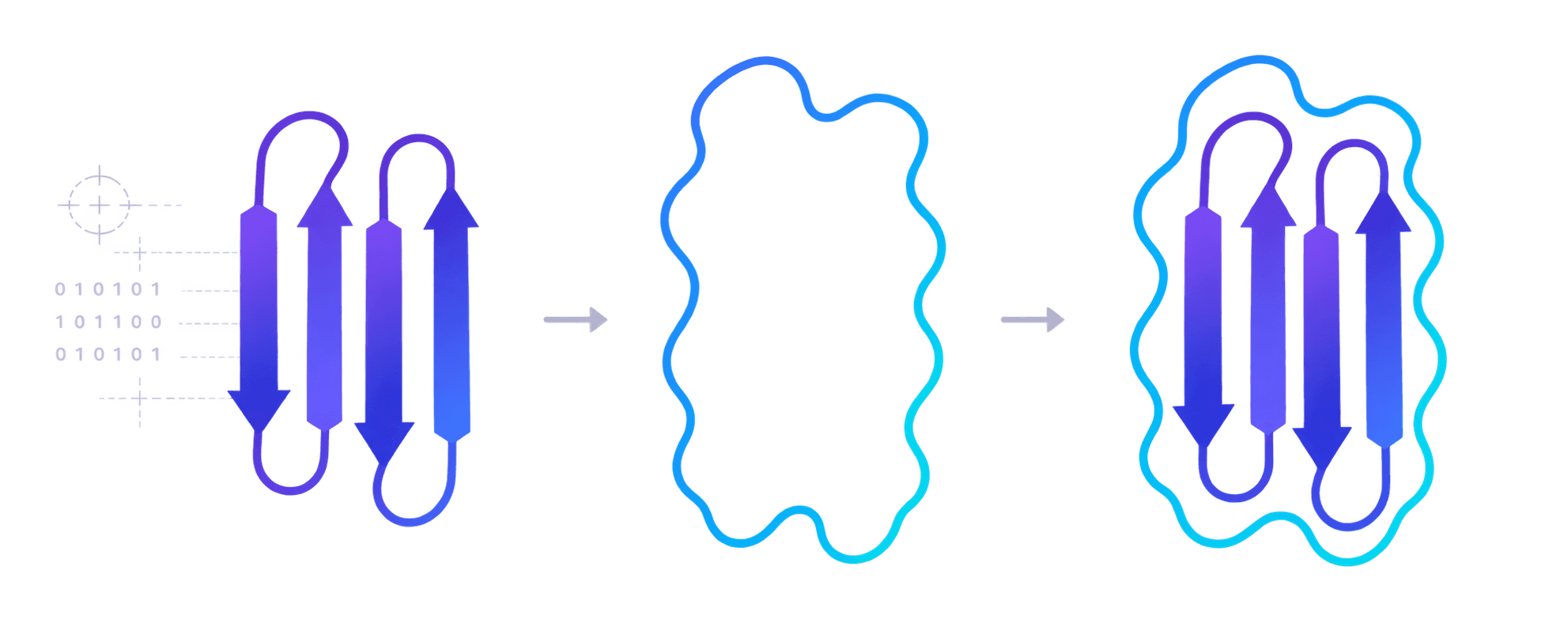 Designed protein fold interpreted within an electron microscopy density map