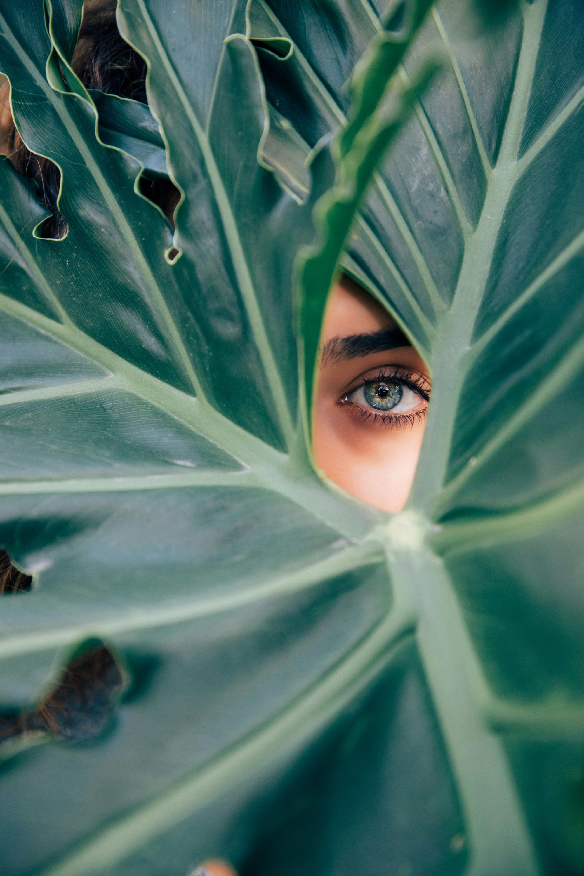 Woman hiding behind a big leave