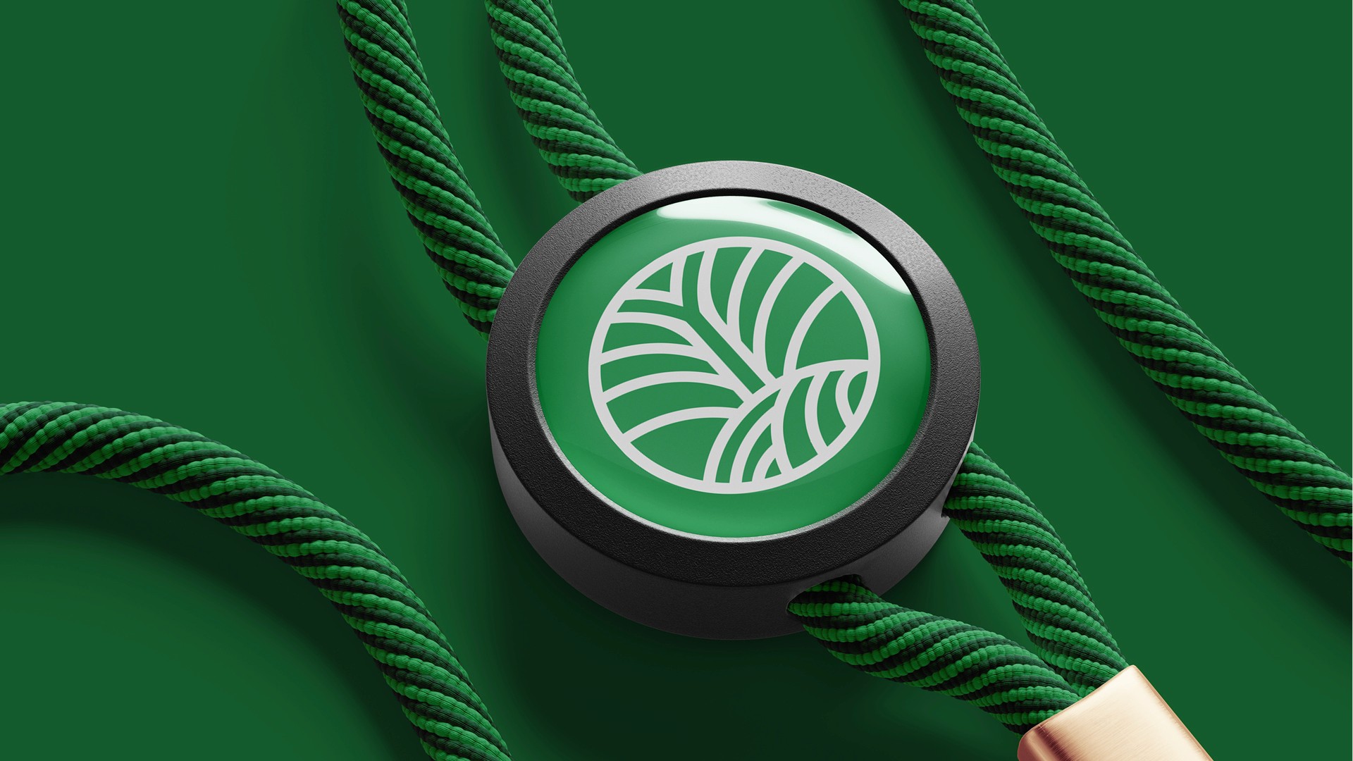 The image featured in the carousel #1