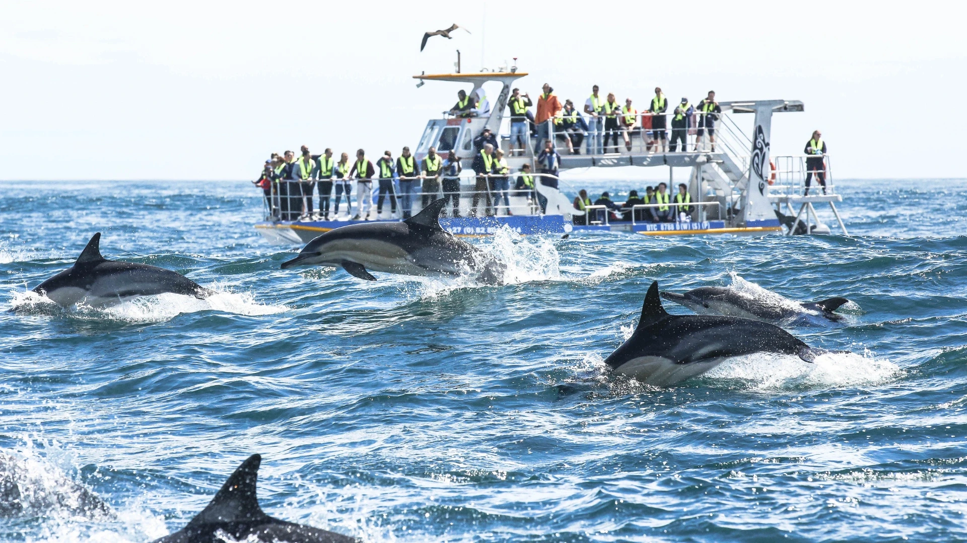 South Africa Tour Package 11 Nights 12 Days