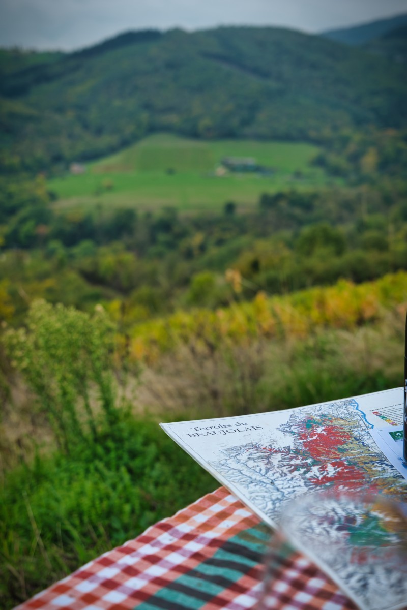 Le Domaine Large s’inscrit dans la diversité géologique du Beaujolais