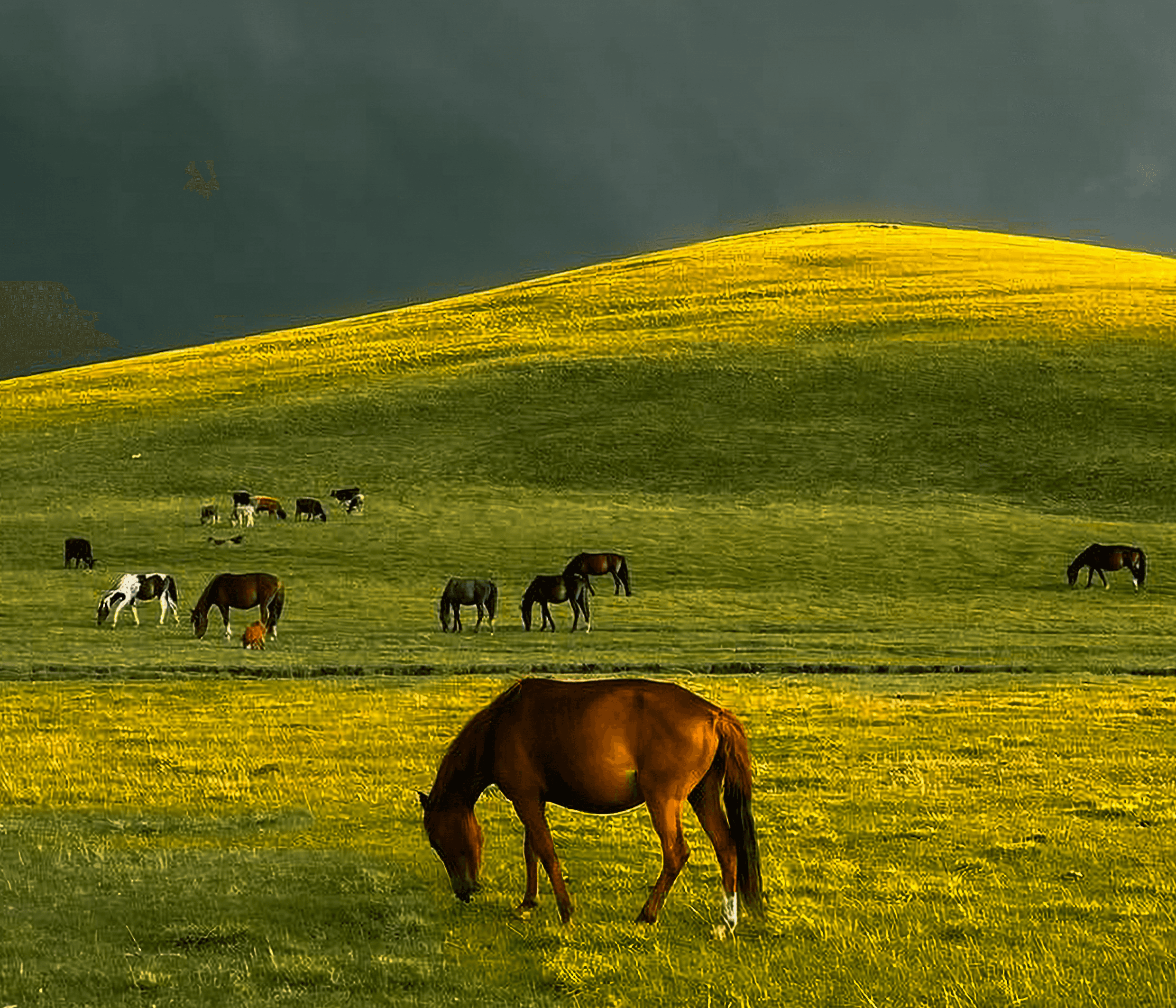 Kyrgyzstan Nature Photo