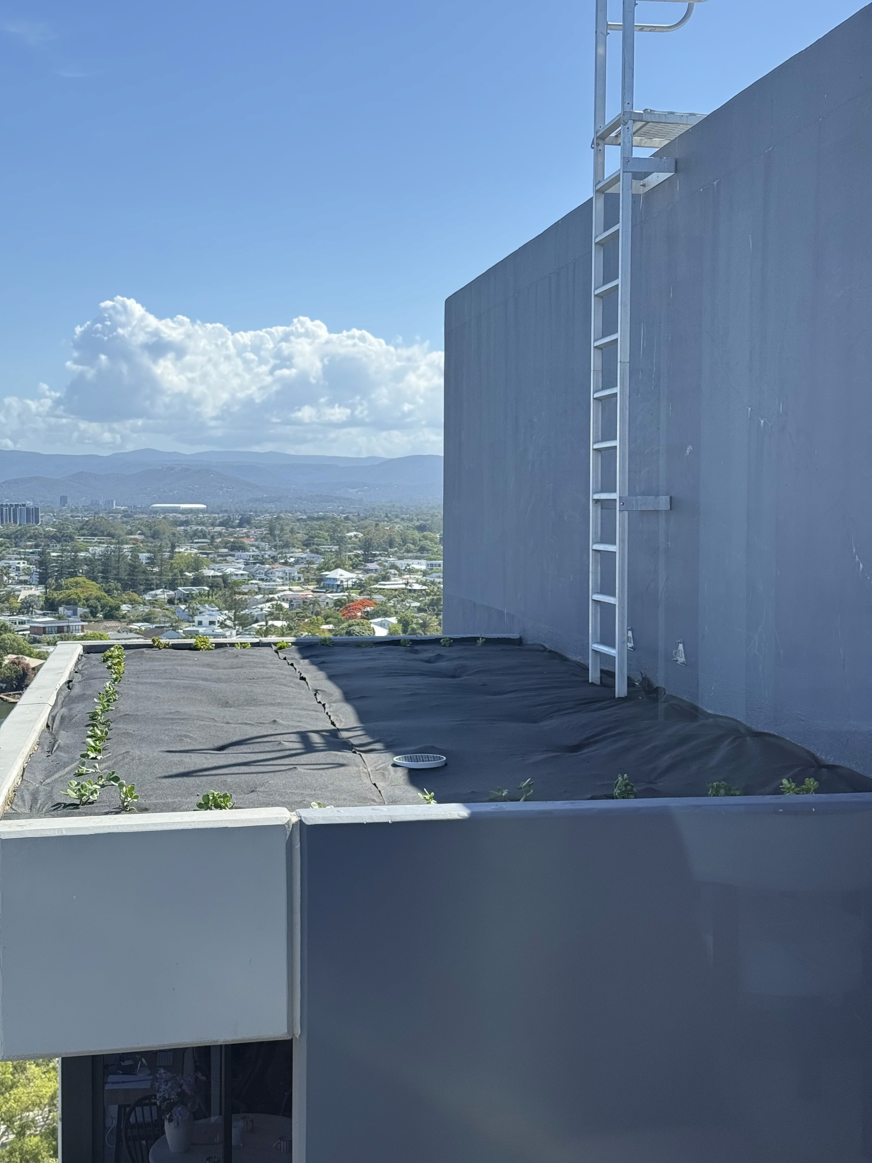 Rooftop garden bed after weed matting and succulent planting commercial high rise Surfers Paradise Gold Coast